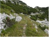 Planina Polog - Velika Montura